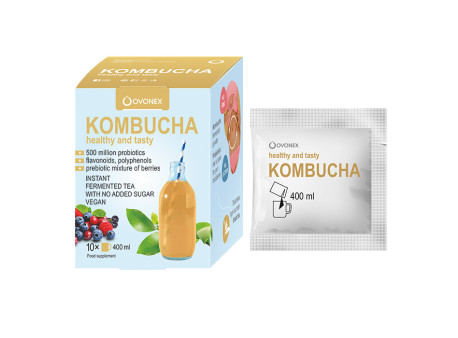 Kombucha instantní, prášek