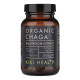 Chaga extrakt BIO, kapsle