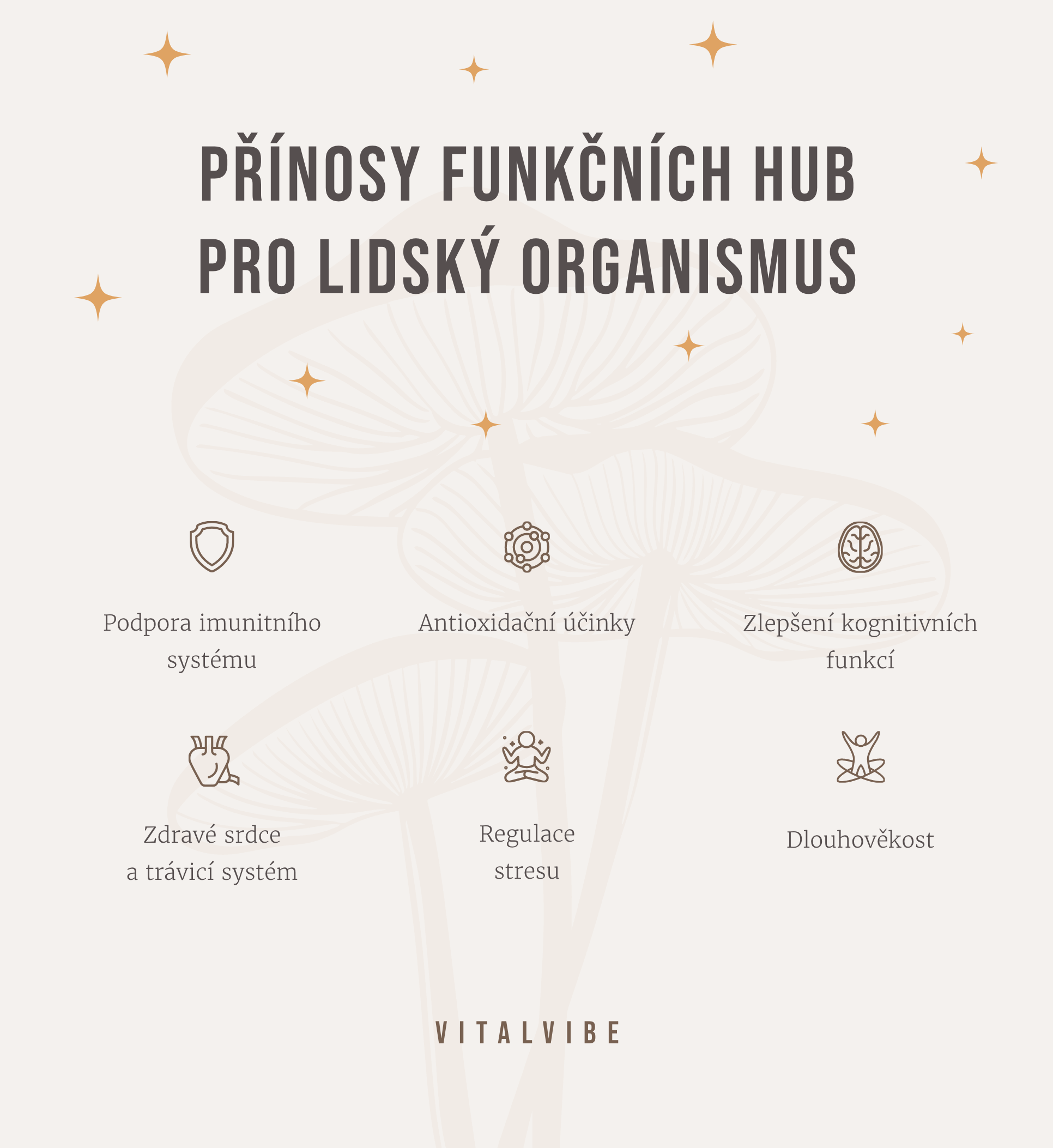 Přínosy funkčních hub pro zdraví