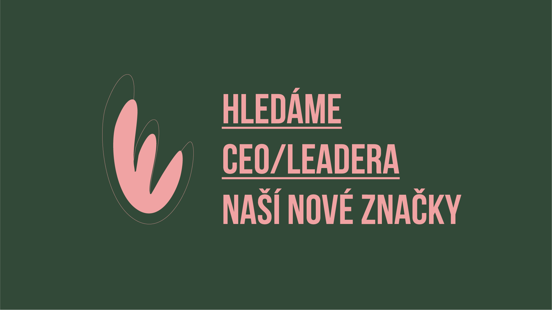 CEO nové značky – pracovní nabídka